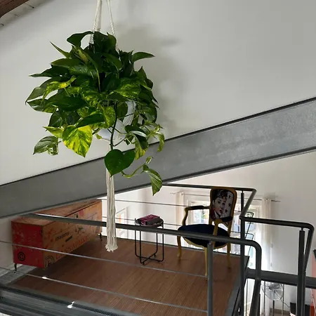 La Casetta Del Centro Luminoso Loft Con Terrazzo E Giardino Apartman
