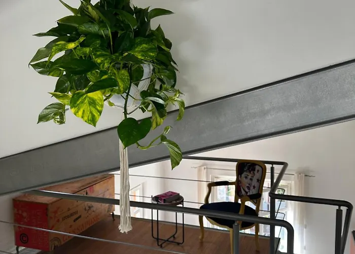 La Casetta Del Centro Luminoso Loft Con Terrazzo E Giardino Lejlighed